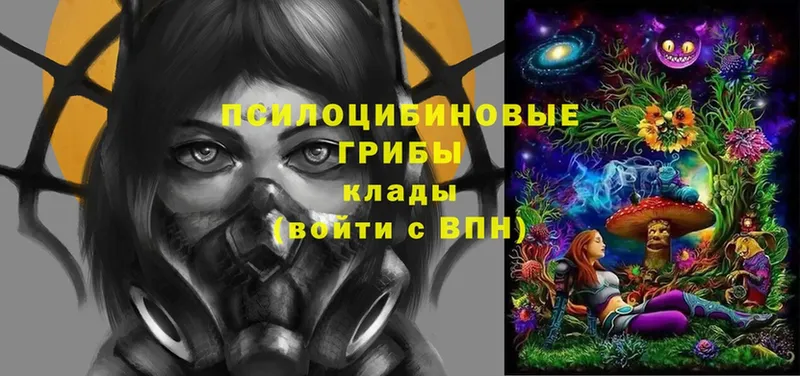 Галлюциногенные грибы Psilocybe  Выкса 